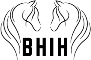 The Black Horse